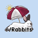 Discovery icon for Rabbitors Discord server