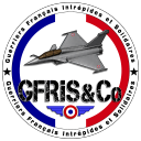 Discovery icon for GFRIS & Co Discord server