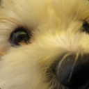 Discovery icon for TheMisterEpic's Lounge Discord server