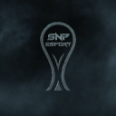 Discovery icon for SnP Esport Battlefield Discord server