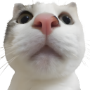Discovery icon for BOOBA ✦ SAGA Discord server