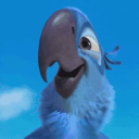 Discovery icon for Rio Discord server