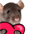 Discovery icon for HyperRats Discord server