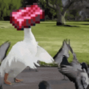 Discovery icon for AdamChromeE's Discord Server Discord server