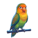 Discovery icon for Cookie Studios・بنروح لشي كبير Discord server