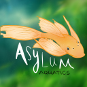 Discovery icon for Asylum Aquatics Discord server