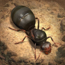 Discovery icon for The Ants Official Discord server