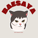Discovery icon for Baesaya | BOOST US Discord server