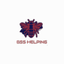 Discovery icon for BSS Helping🐝 Discord server