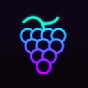 Discovery icon for Grape Protocol | grapes.network Discord server