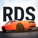 Discovery icon for Real Driving School Discord server