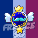 Discovery icon for © France Stumble Guys 🇫🇷 Discord server