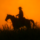 Discovery icon for Red Dead Redemption FR Discord server