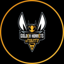 Discovery icon for Golden Hornets Discord server