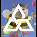 Discovery icon for Falkner-Muir | Newquay Funky Family Club House Discord server